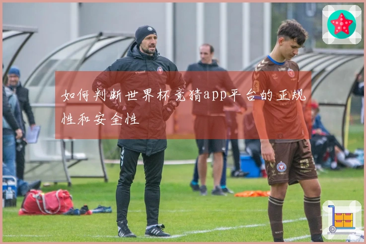 如何判断世界杯竞猜app平台的正规性和安全性