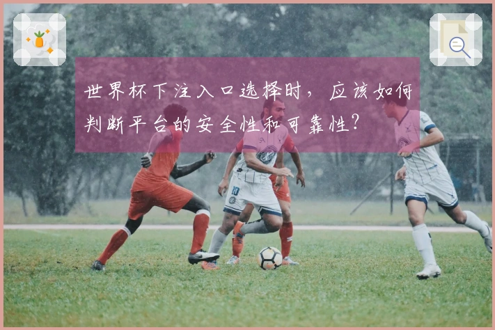 世界杯下注入口选择时，应该如何判断平台的安全性和可靠性？