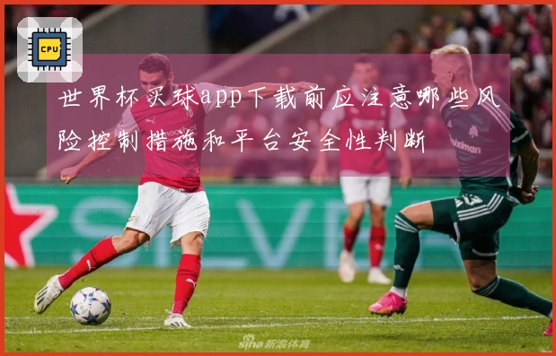 世界杯买球app下载前应注意哪些风险控制措施和平台安全性判断